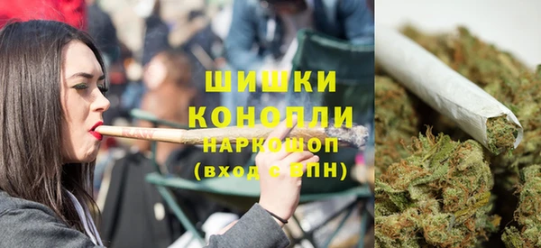 ешки Аркадак