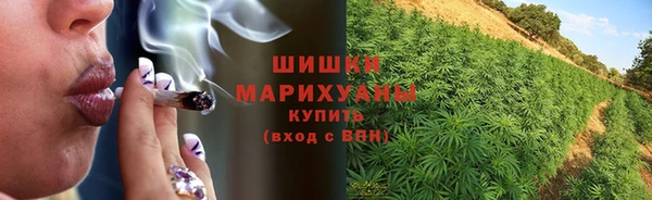 ешки Аркадак