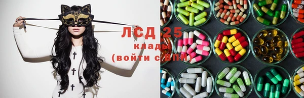 ешки Аркадак
