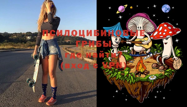 ешки Аркадак
