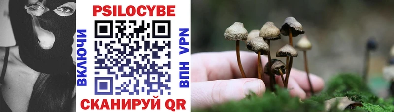 Галлюциногенные грибы Cubensis  Минусинск 